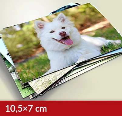 Rechteckige Magnete 10,5×7 cm