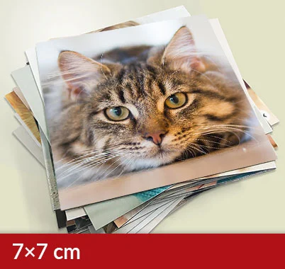 Quadratische Magnete 7×7 cm